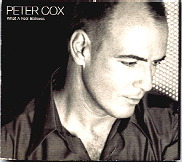 Peter Cox - What A Fool Believes