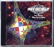 Afrocelt & Peter Gabriel - When You're Falling