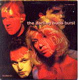 Darling Buds - Burst
